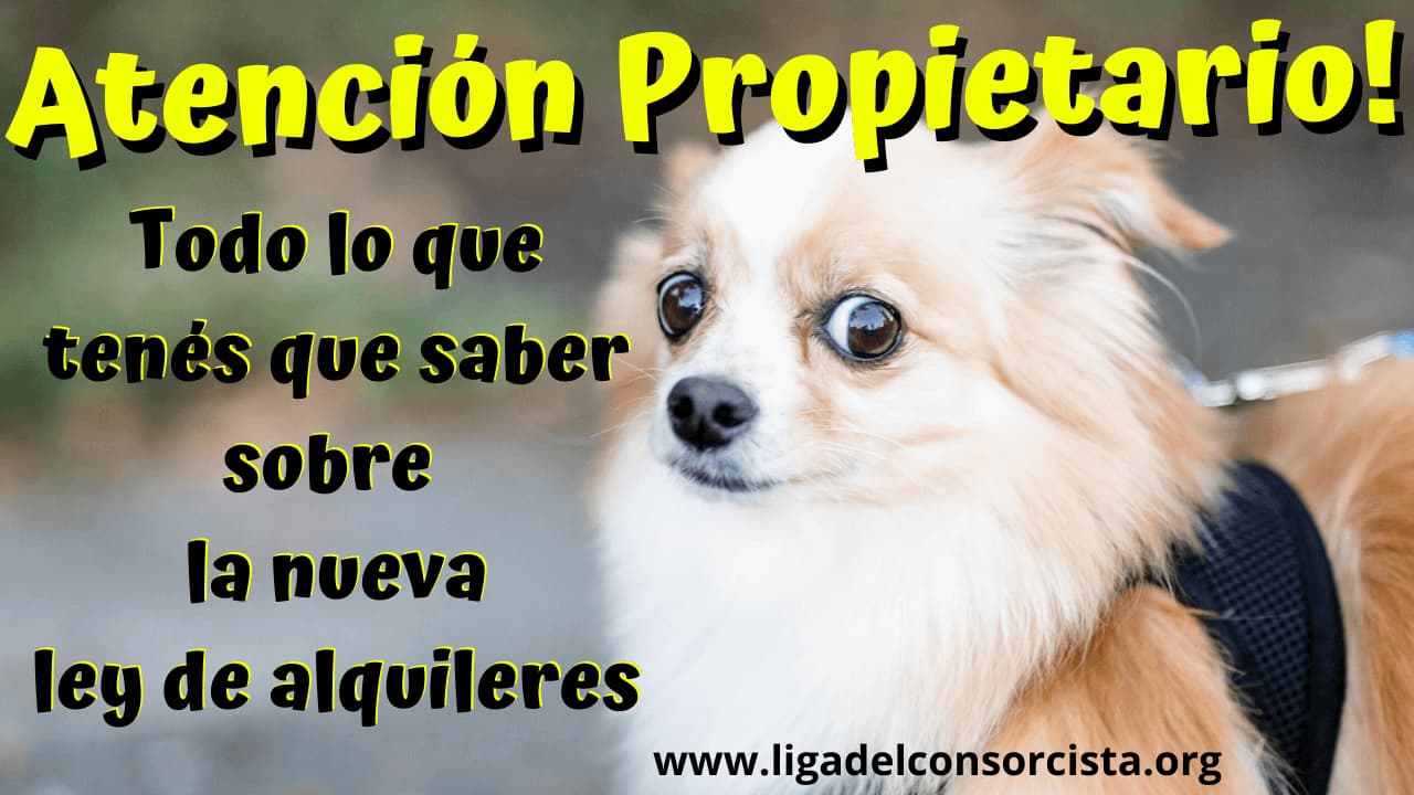 ATENCIÓN PROPIETARIOS - Nueva ley de alquileres